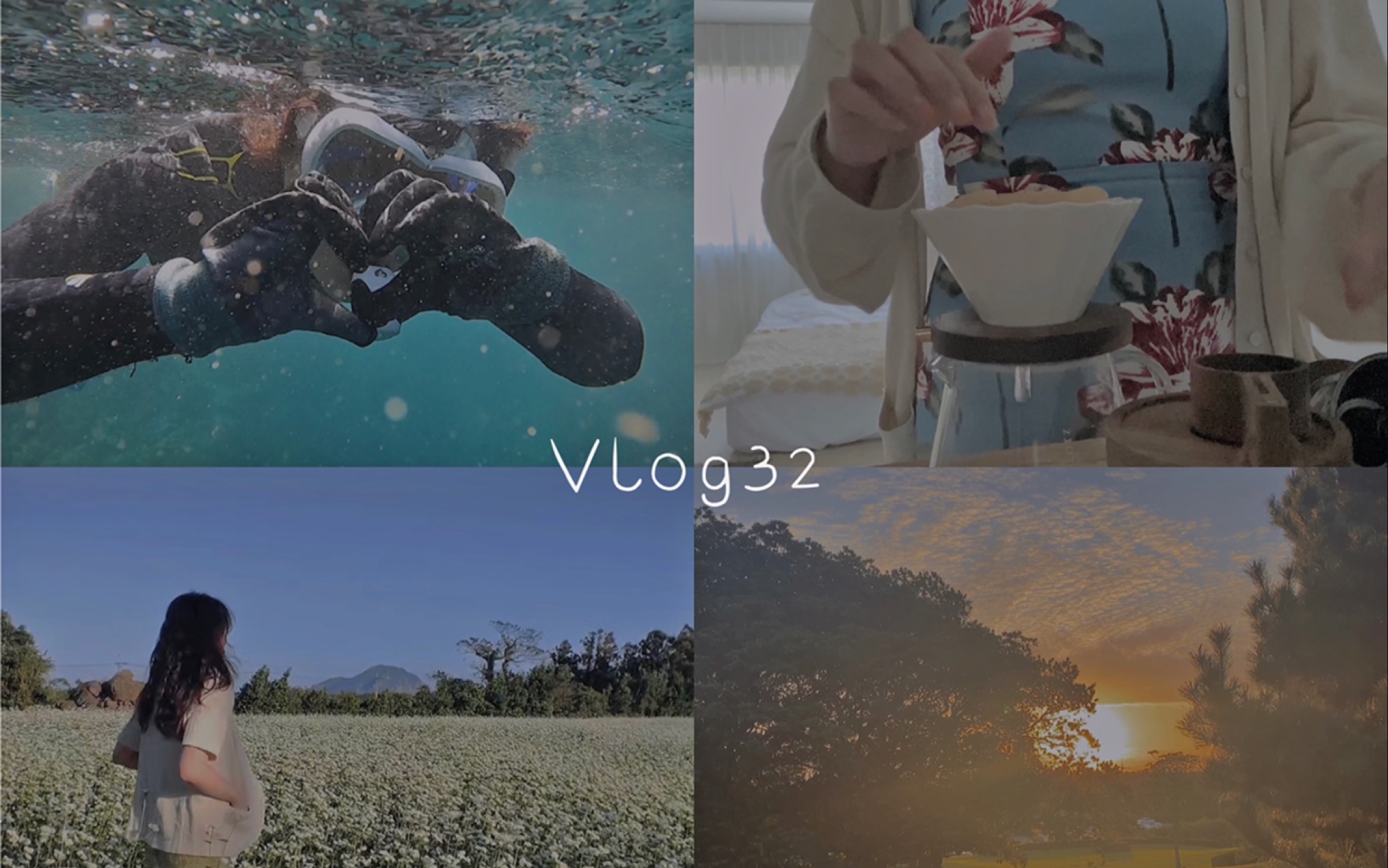 Vlog32.济州岛生活:浮潜 逛绿茶园 手制咖啡 荞麦花海 济州烤肠哔哩哔哩bilibili