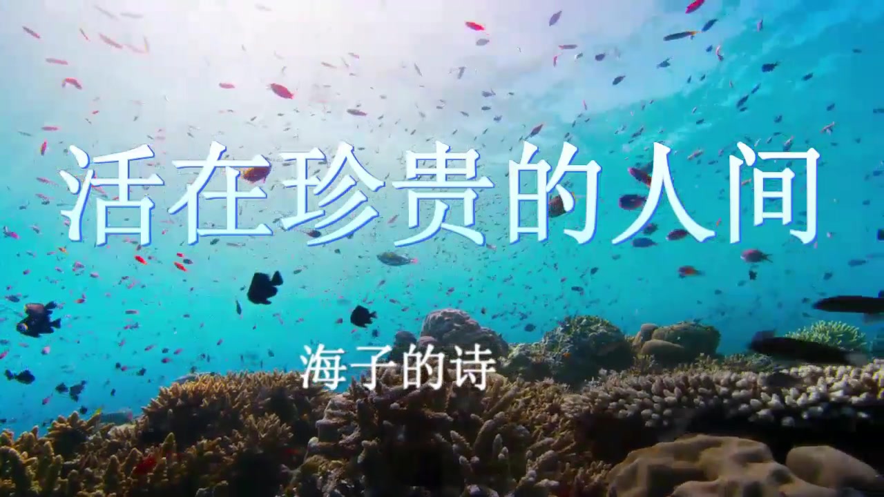 [图]【朗读者】海子的诗：活在珍贵的人间