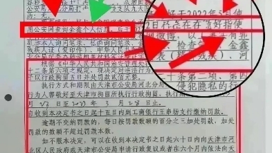 正能量网站哔哩哔哩bilibili