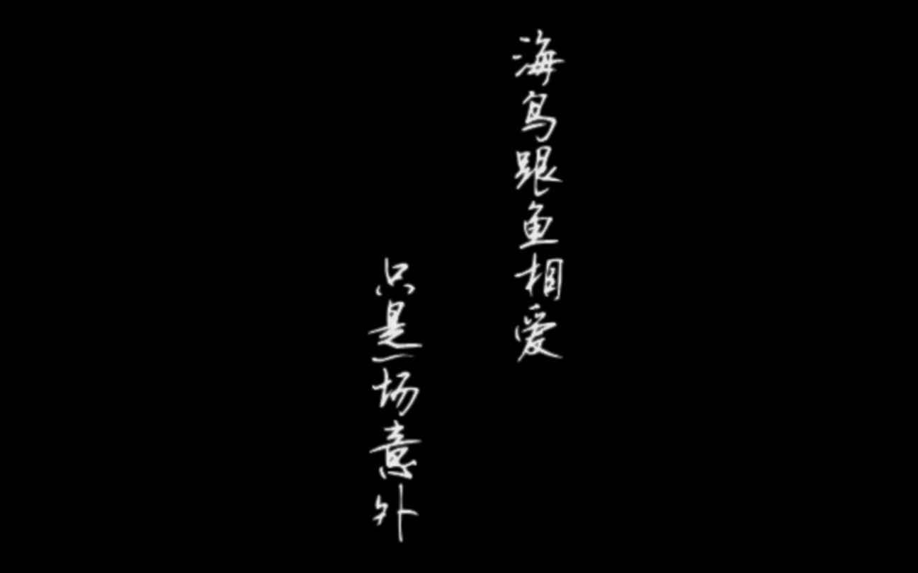 左佳海鸟跟鱼相爱只是一场意外