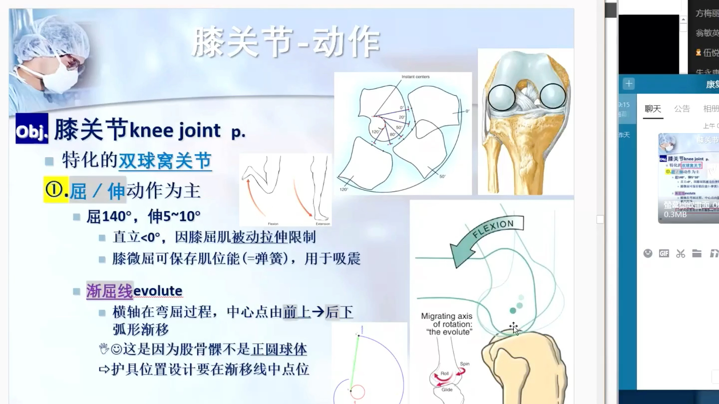 活动作品功能解剖膝关节二