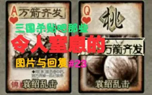 Download Video: 【饮西】杀吧那些令人窒息的的图片与回复#23