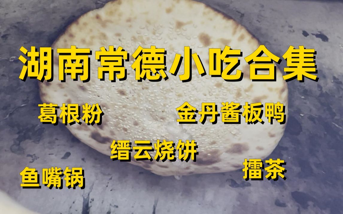 【一城一味】不是传说中的美食,却是人情味满满的常德美食哔哩哔哩bilibili