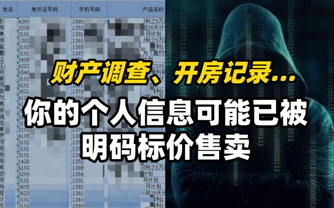 财产调查、开房记录…你的个人信息可能已被明码标价售卖哔哩哔哩bilibili