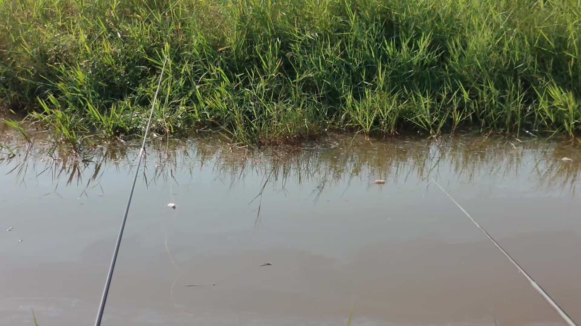 不起眼的小水沟,里面藏了好多大货,这资源可以.