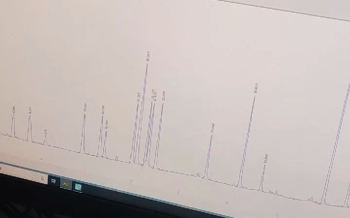 气相色谱仪谱图哔哩哔哩bilibili