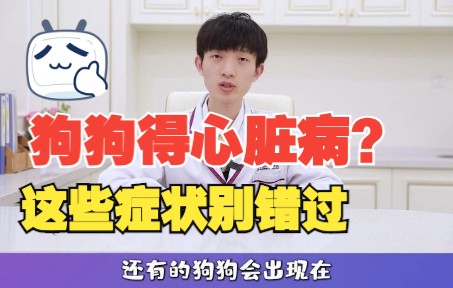 6.5怎么发现狗狗得心脏病?这些症状别错过!#防御保健#科学养宠攻略