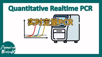 实时定量PCR