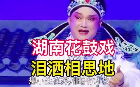 泪洒相思地哔哩哔哩bilibili