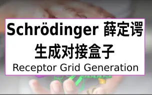 Download Video: 薛定谔-生成对接盒子 | Receptor Grid Generation [2]