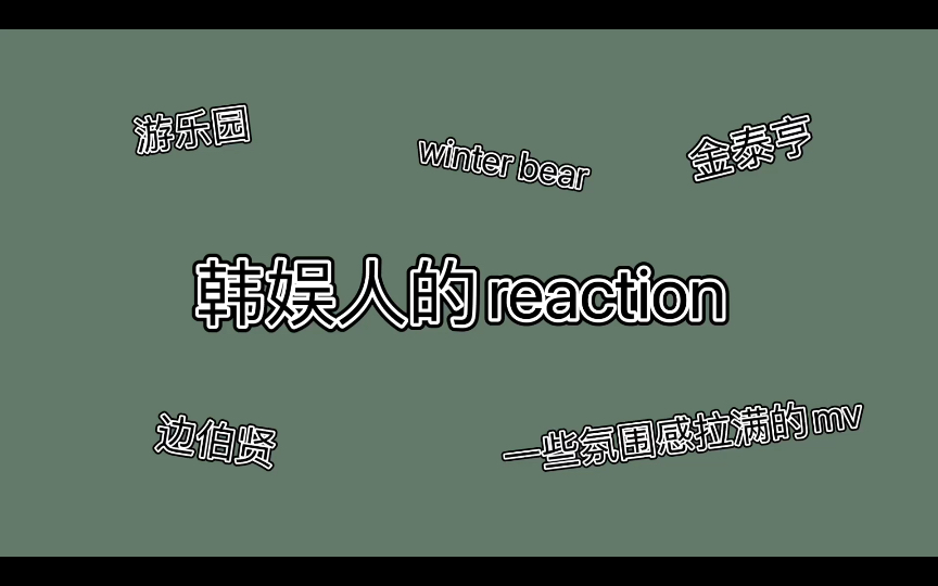 【韩娱粉reaction】两只小老虎的mv,氛围感拉满,太喜欢了哔哩哔哩bilibili