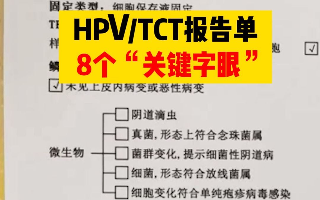 hpv/tct报告单,这8个关键字眼一定要知道哔哩哔哩bilibili