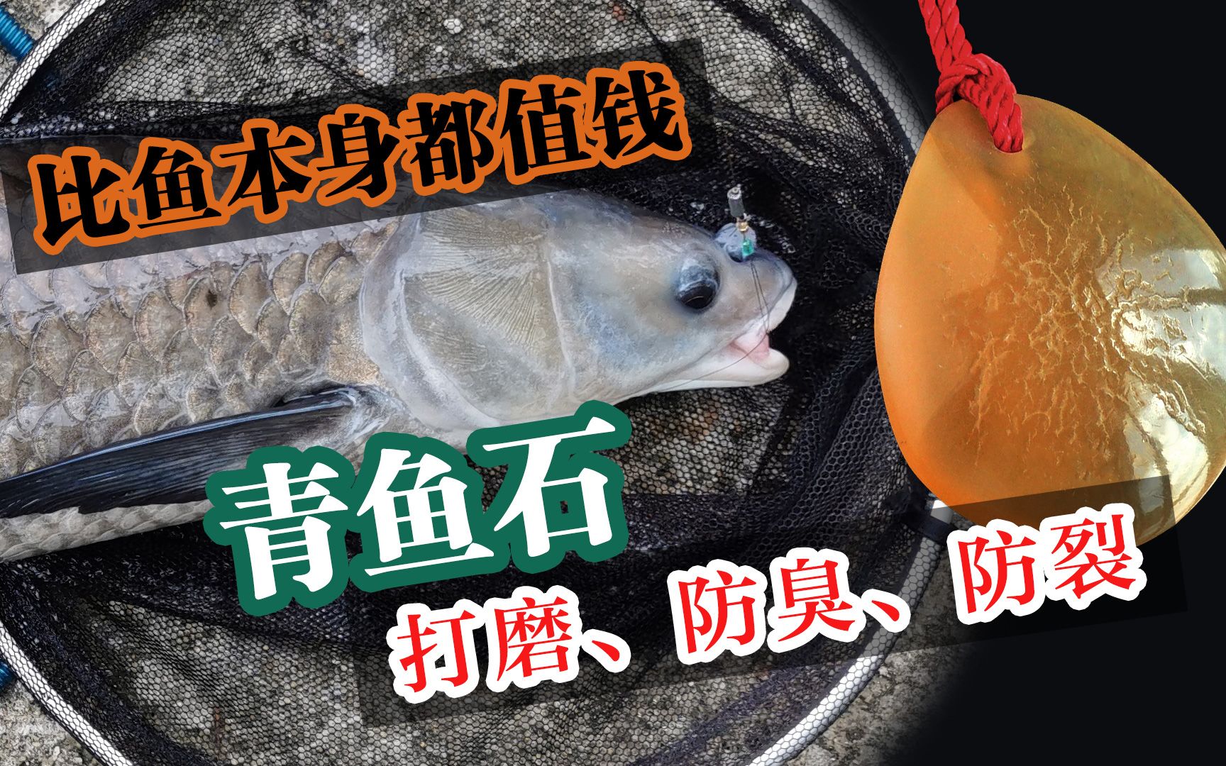 如何打磨青鱼石,防臭,防裂,一看就会_哔哩哔哩_bilibili