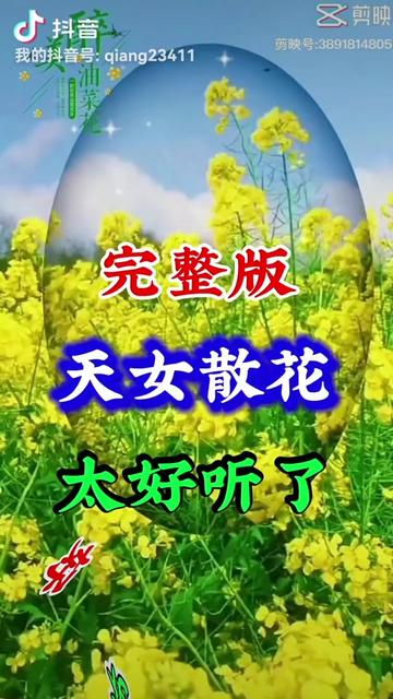 《天女散花》完整版哔哩哔哩bilibili