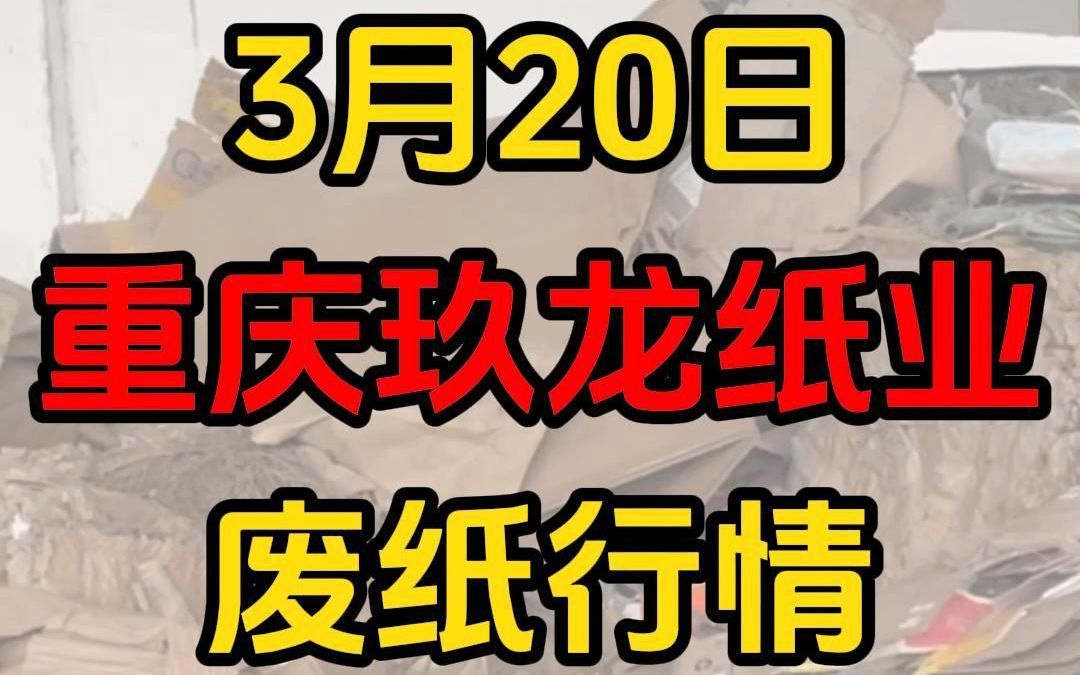 重庆玖龙纸业最新废纸黄板纸回收行情哔哩哔哩bilibili