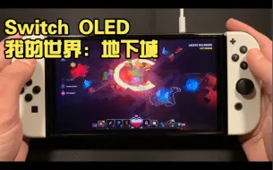 Скачать видео: 【Switch OLED】《我的世界：地下城》试玩