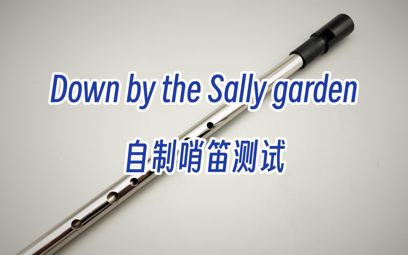 [图]Down by the sally garden 自制哨笛演奏