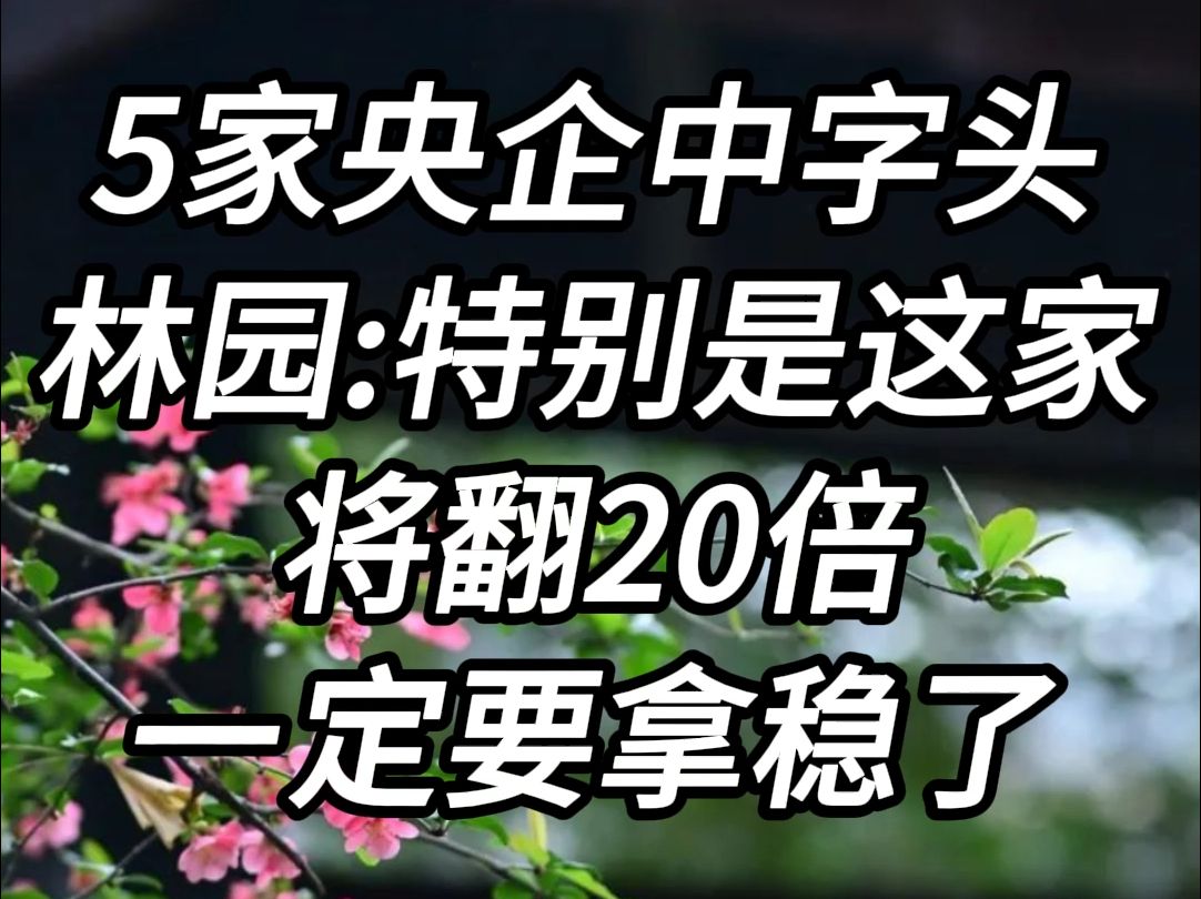 A股最良心的五家中字头,形式一片大好!10月即将翻20倍哔哩哔哩bilibili