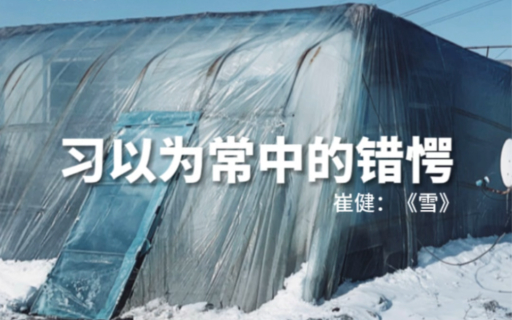 崔健《雪》:在通勤路上,寻找习以为常的错愕(集美ⷩ˜🥰”勒摄影节书展作品)哔哩哔哩bilibili