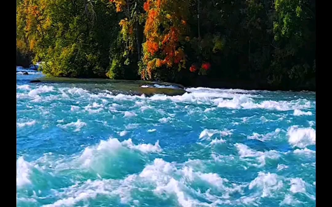 这个月开始你将会走上好日子,想干的事都会水到渠成,留下期待二字,接