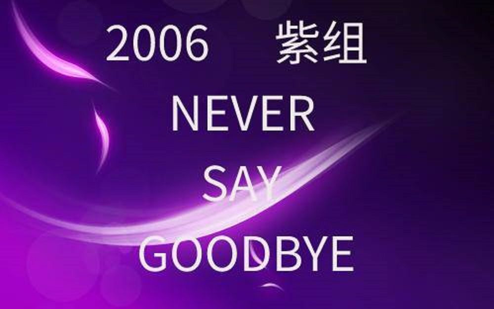 [图]2006 NEVER SAY GOODBYE