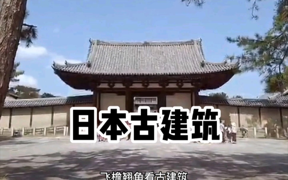 简单认识日本古建筑哔哩哔哩bilibili