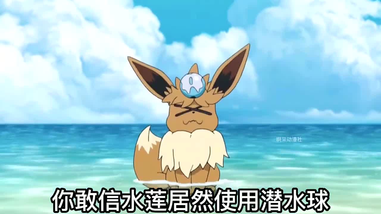 宝可梦日月:水莲的精灵球是蓝色,很稀有呢,成功收服伊布