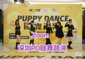 Download Video: 【PuppyDance随舞3期】深圳KKONE 2024.8.18 Zoom路演