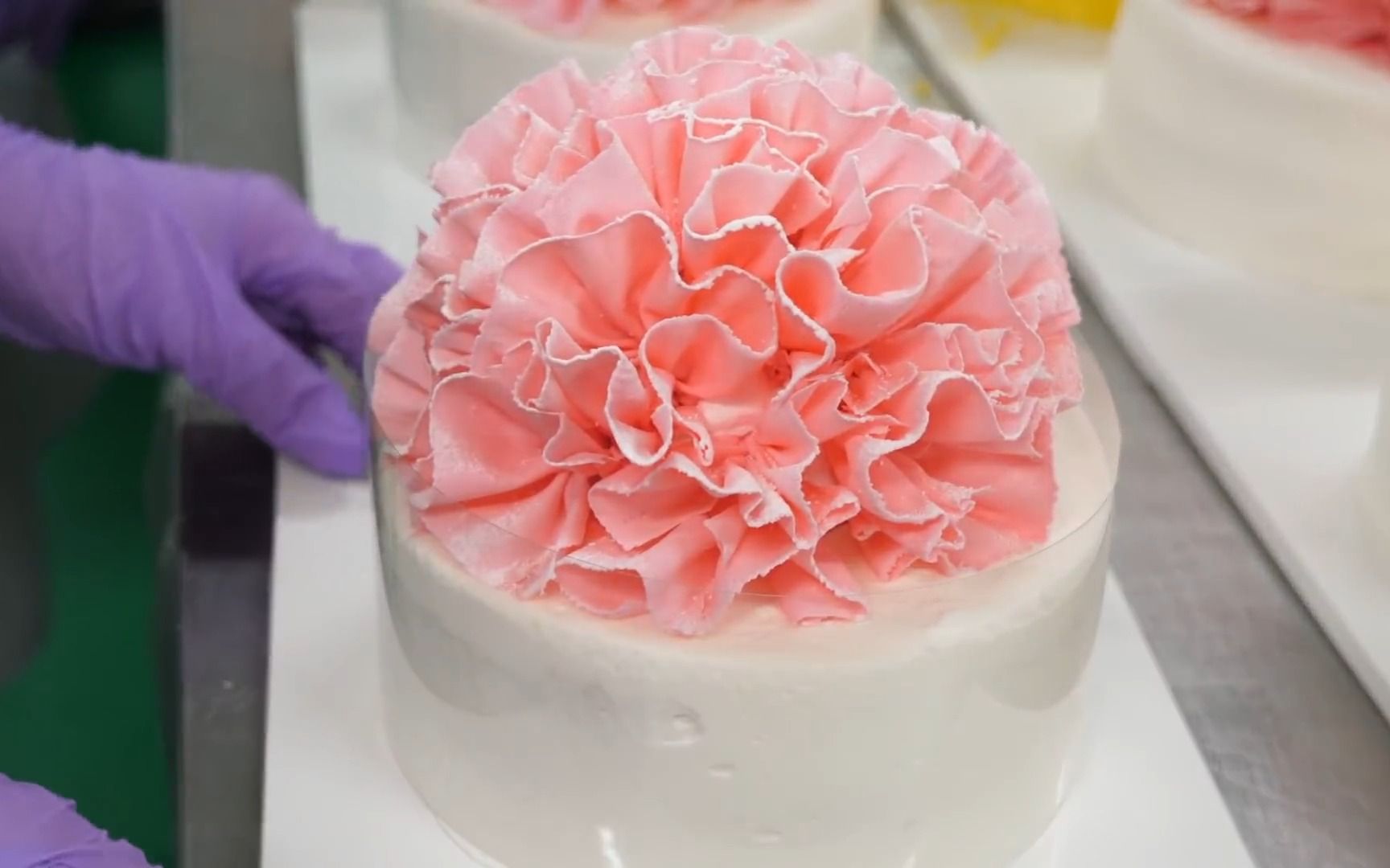 优雅的美丽! 蛋糕厂的康乃馨花蛋糕/食品工厂