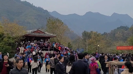 民族传统节日|壮族蚂拐节 东兰县长江镇板隆村巴畴乡巴英村哔哩哔哩bilibili