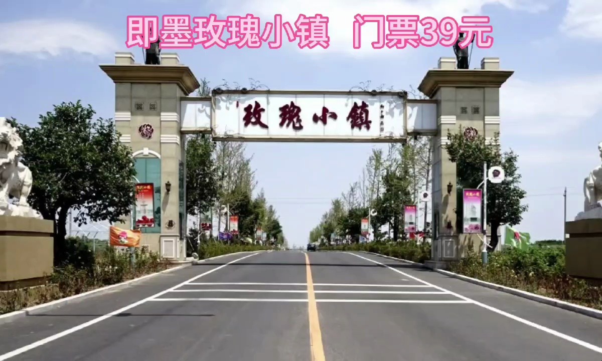 即墨玫瑰小镇,浪漫绽放,等你来邂逅!