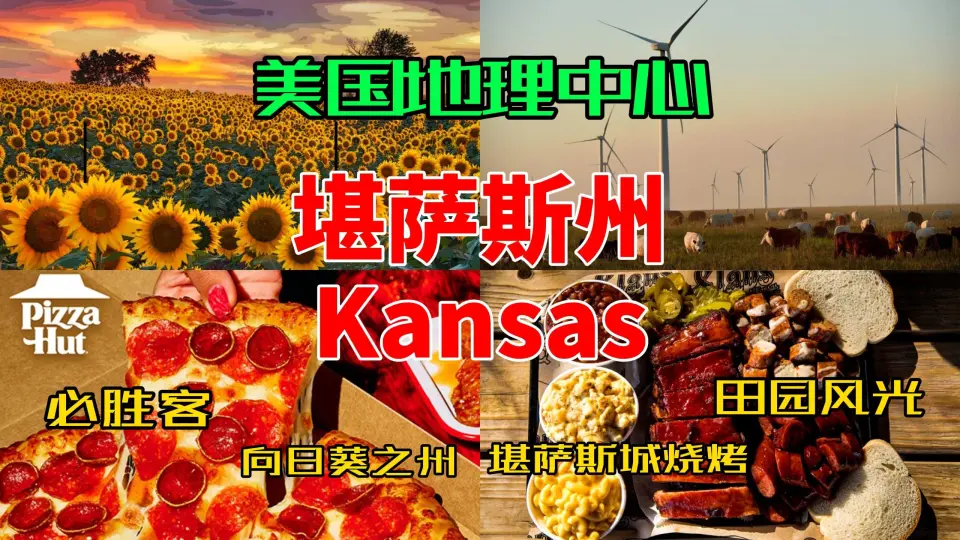 Mashhad代孕論壇[微信號18520007181]KansasCity試管嬰兒國際-Lucknow代孕檢查pit-哔哩哔哩_Bilibili