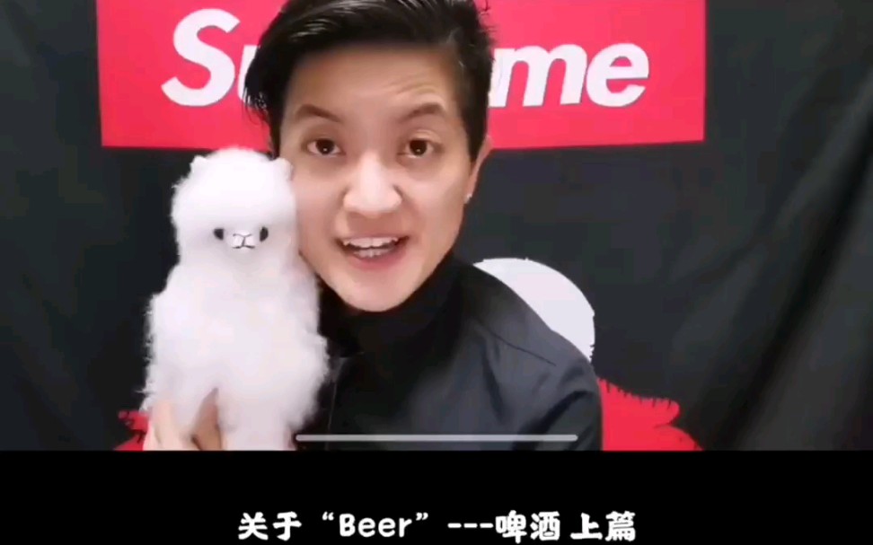 关于“beer”啤酒 上篇哔哩哔哩bilibili