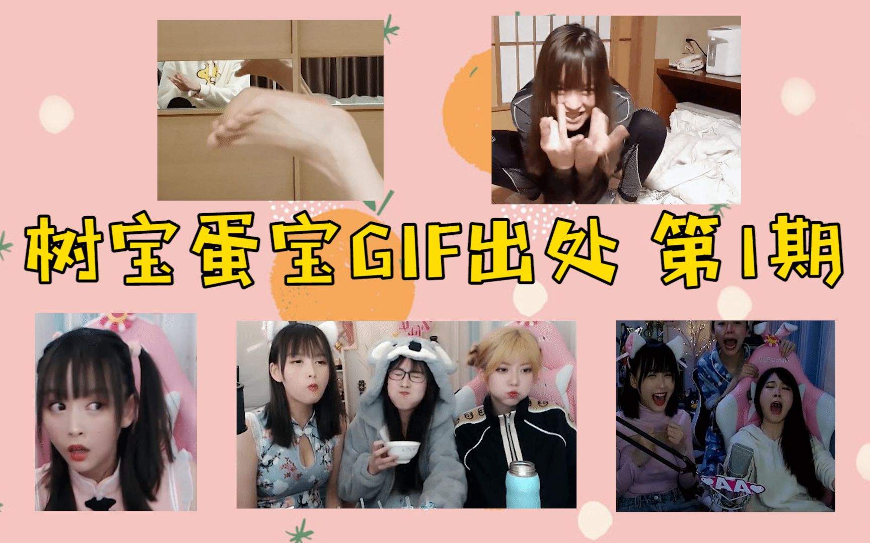 树宝蛋宝GIF名场面出处 第1期哔哩哔哩bilibili