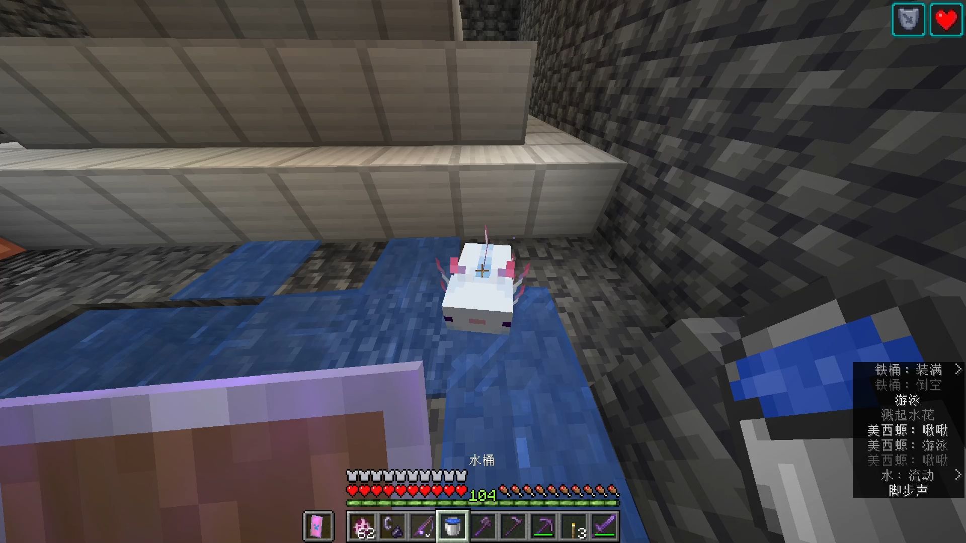 家人们我好像搞到蓝色美西螈了