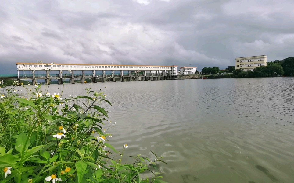 活动  榕江水,清又清!