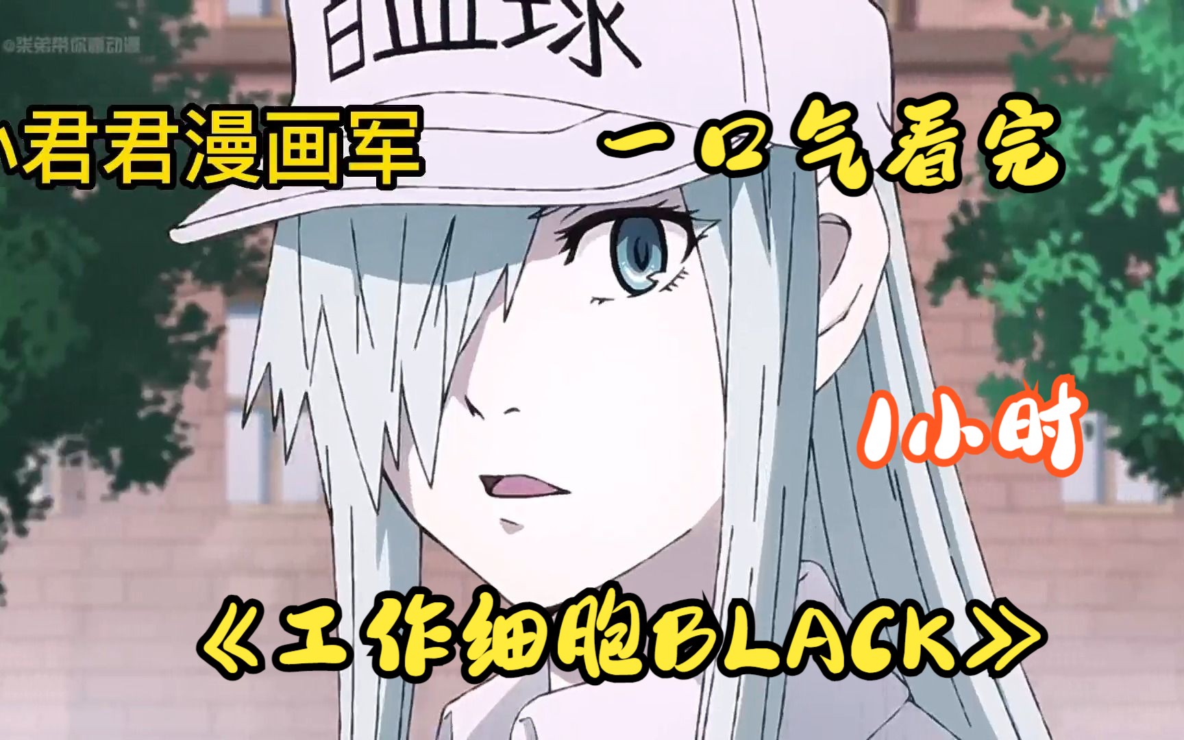 【1小时】一口气看完《工作细胞BLACK》