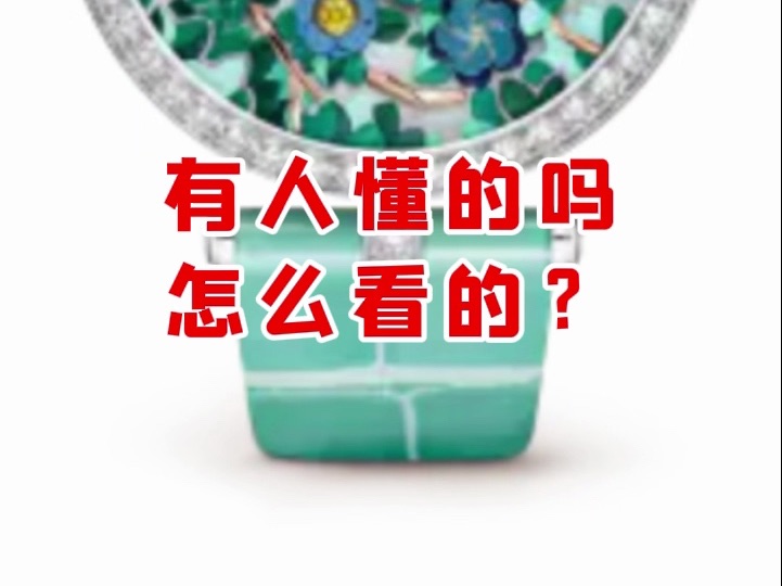 【微拍堂】有人懂得吗 怎么看的?哔哩哔哩bilibili