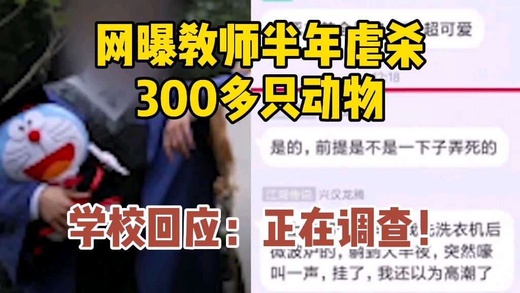 网曝教师半年虐杀300多只动物 学校回应:高度重视,正在调查哔哩哔哩bilibili