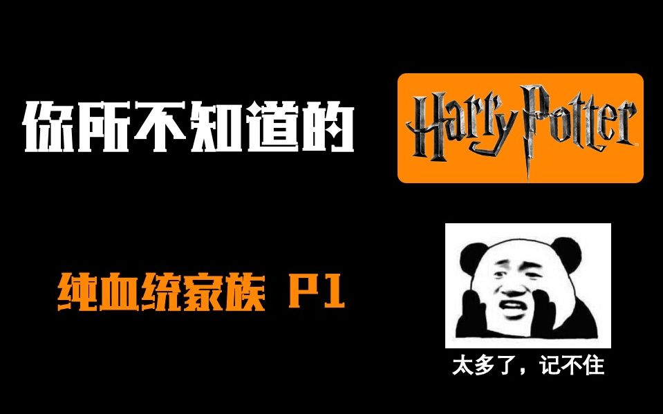 Harry Potter隐藏梗|剧情向|HP中的28个纯血统家族 P1哔哩哔哩bilibili