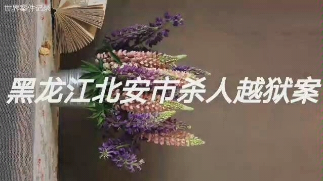 黑龙江北安市杀人越狱案哔哩哔哩bilibili