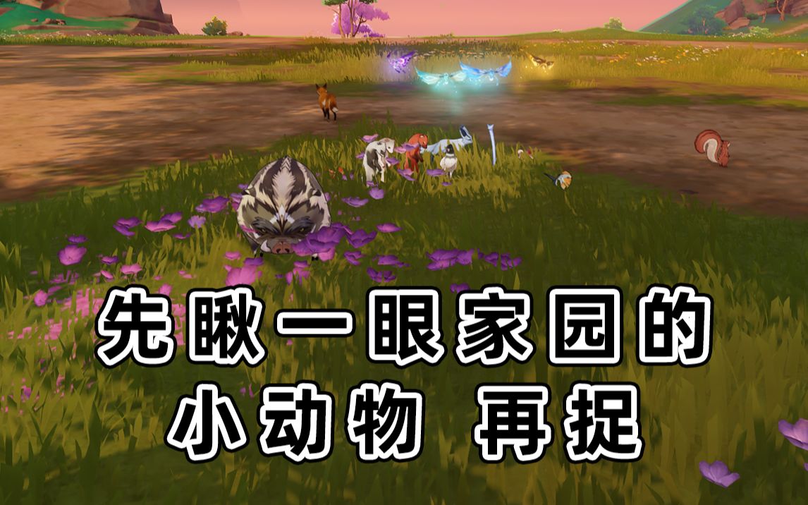 【原神】每周只能买5张网 看完再抓不后悔 内含多个捕捉地点+成就「四方八方之网」哔哩哔哩bilibili