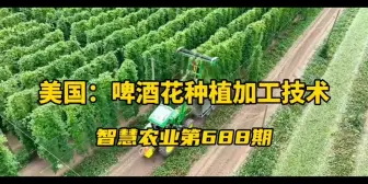 Video herunterladen: 美国：啤酒花的农场种植加工技术