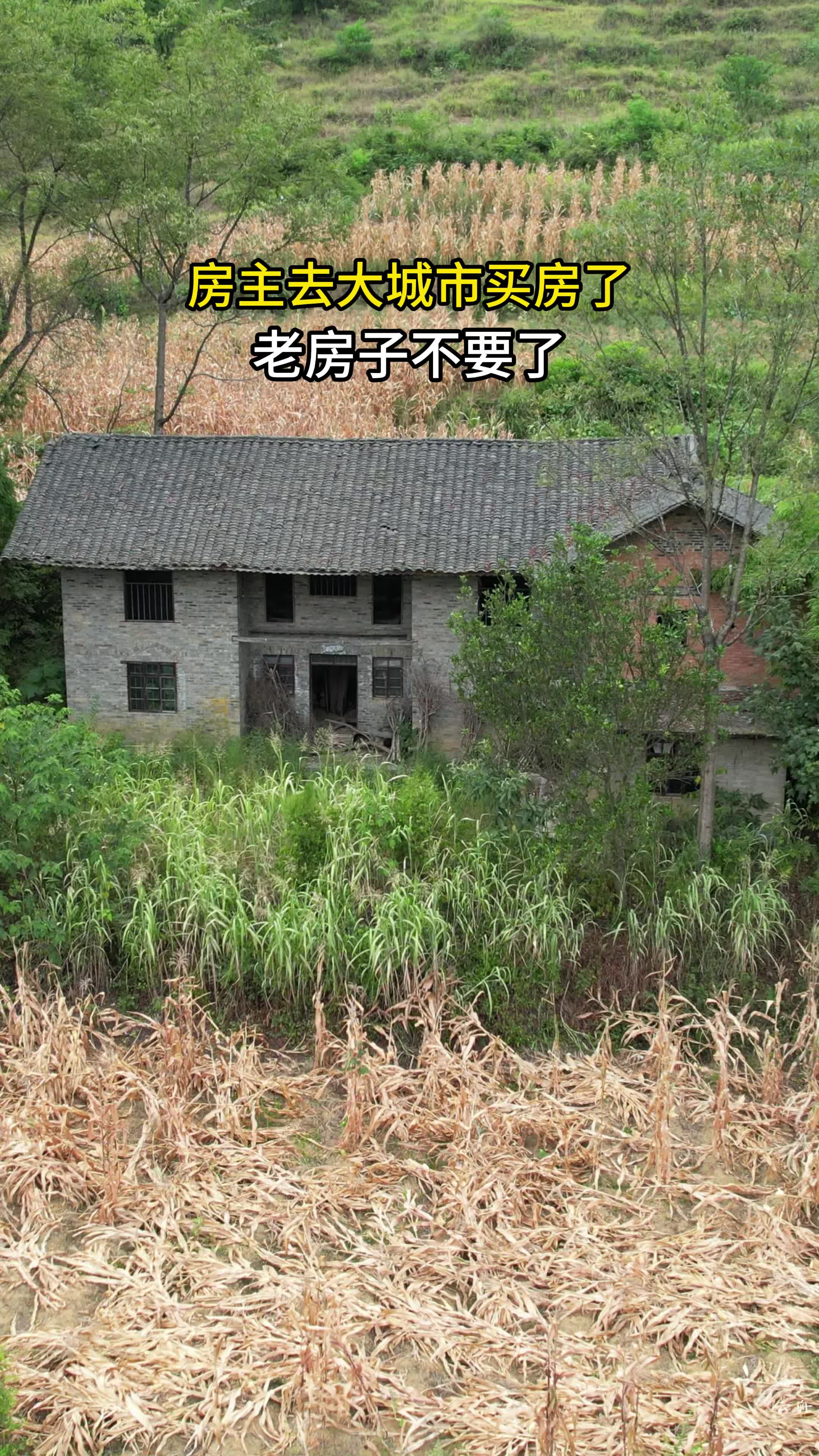 农村房子户主死了房子归谁