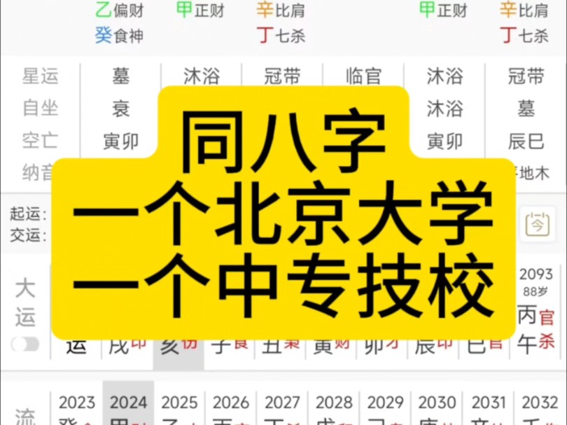 同八字两人!北大学霸VS技校学渣!学历不同(关注一键三连简单看)哔哩哔哩bilibili