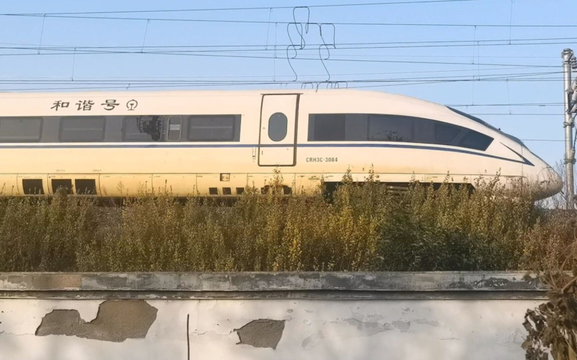 [231119摄] 成都局crh3c-3004 (德国原装车) 承运g1532(上海虹桥-重庆