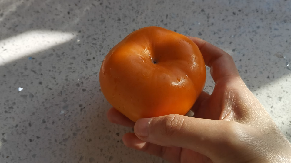 活动作品素材61自然造物扁柿子