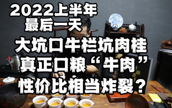 真正的口粮“牛肉”来了 !3000/斤大坑口银牛牛栏坑肉桂哔哩哔哩bilibili