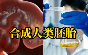 Tải video: 无需卵子或精子，科学家用干细胞造出合成人类胚胎，或引发严重道德及法律问题