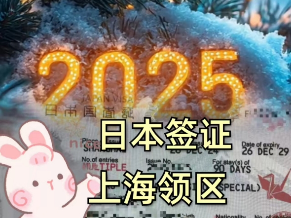 2025日本签证新变化来啦哔哩哔哩bilibili